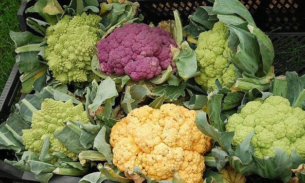 Cauliflower and Diabetes – Is Cauliflower Rice Good for Diabetics?