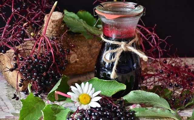 Diabetes And Elderberry Syrup – Can Diabetics Take Elderberry Syrup?