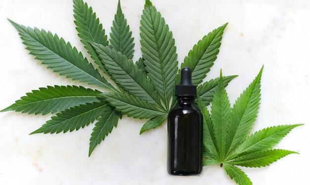 18 Hemp Products for Better Health