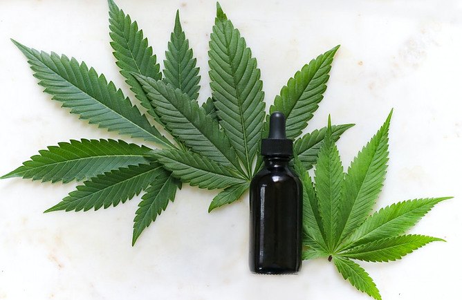 18 Hemp Products for Better Health