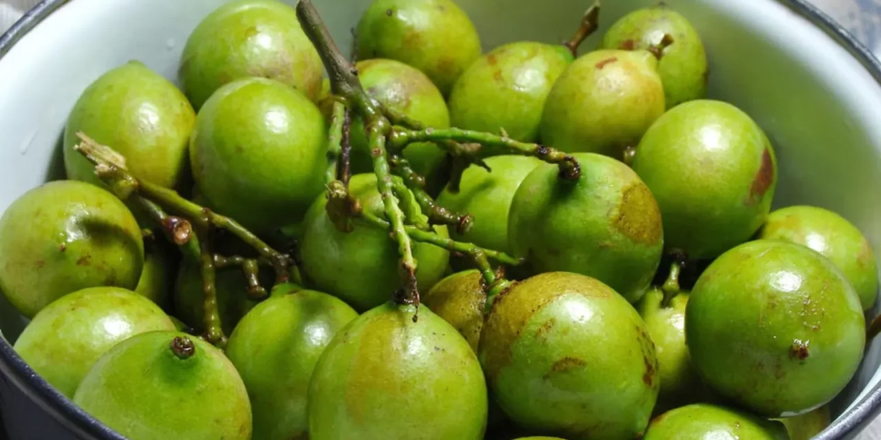 The Best Green Fruit For Diabetics