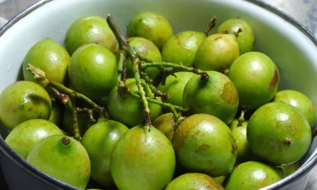 The Best Green Fruit For Diabetics