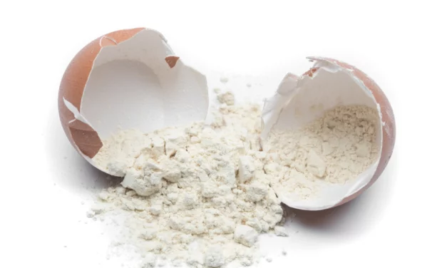 Egg White Protein Powder And Diabetes – Do’s And Don’t Do’s